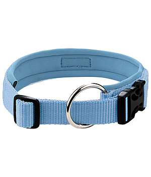 sugar dog Dog Collar Becks - 231007-M-SY