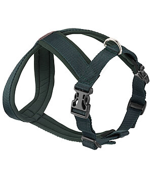 sugar dog Dog Harness Piper - 231053-M-GT