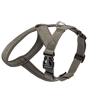 sugar dog Dog Harness Piper - 231053-M-O