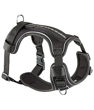 sugar dog Seconds:  Dog Harness with Wrist Strap Adventure Seeker - 231093