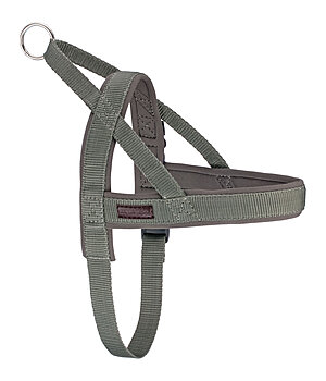 sugar dog Norwegian Dog Harness Miley - 231131-M-O