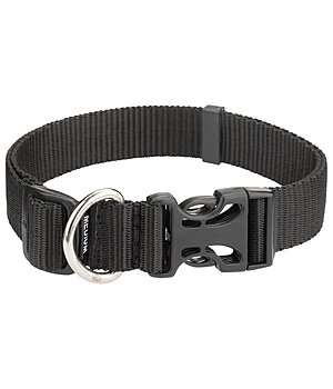 sugar dog Dog Collar Champ - 231184