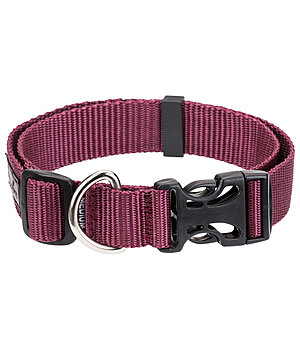 sugar dog Dog Collar Champ - 231184-M-BO