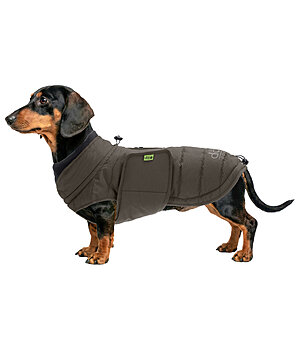 sugar dog Dachshund Winter Coat Henry, 200g - 231311-S-DO