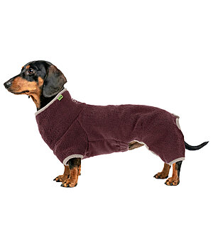 sugar dog Dachshund Bathrobe Theo - 231313-S-MA