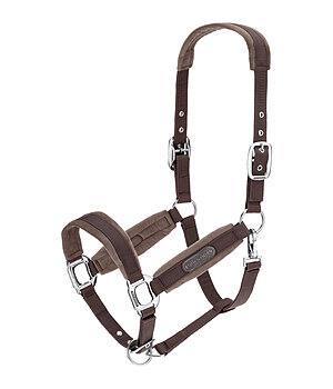 Felix B�hler Headcollar Velvet - 310079-C-ZT