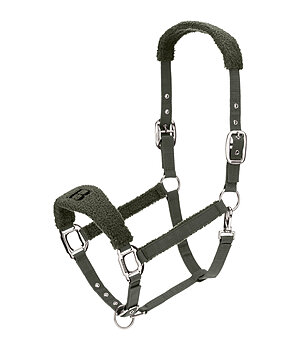 Felix B�hler Teddy Headcollar - 310082-F-O