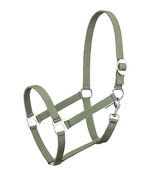 SHOWMASTER Headcollar Super Price - 320018-P-AL