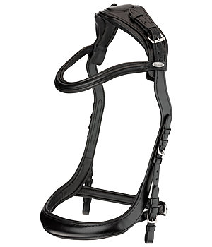 Felix Bhler Bridle Anatomical Vision Space - 320765