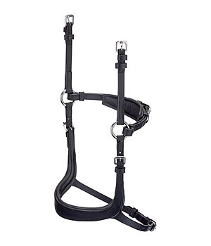 CLARIDGE HOUSE Mix & Match Oiled Leather Noseband Revolution - 320849-C-SS