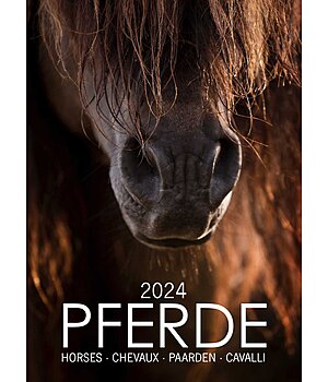 Kramer Horse Calendar 2022 - 333