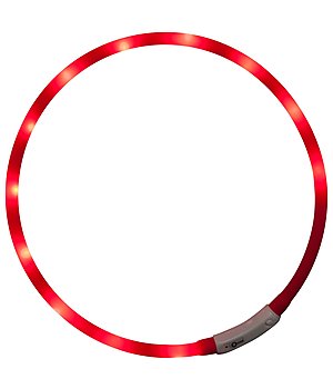 STEEDS LED-Light Collar for Dogs - 340190--R