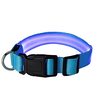 STEEDS LED Dog Collar Loom - 340991-M-BL