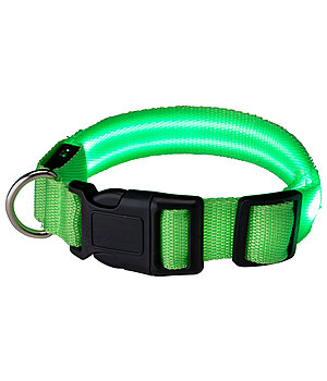 STEEDS LED Dog Collar Loom - 340991-M-G