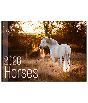 Equino Media Horses Calender 2026 - 390002