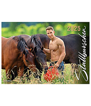creatxx Stable Lads 2026 - 402355