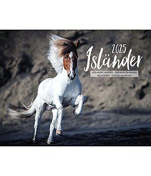 Equino Media Icelandic Horse Calendar 2026 - 402412