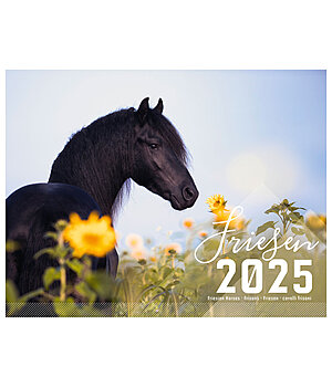 Equino Media Friesian Horse Calendar 2024 - 402417