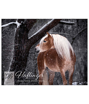 Equino Media Haflinger Calendar 2026 - 402531