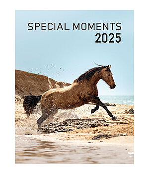 Ponyliebe Fotografie Special Moments Calendar 2024 - 402533
