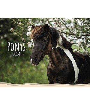 Ponyliebe Fotografie Pony Calendar 2024 - 402538