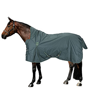 THERMO MASTER High Neck Turnout Rug Jesco II With Fleece Lining, 100g - 422476-6_0-GT