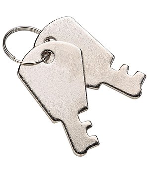 Replacement Key - 431430
