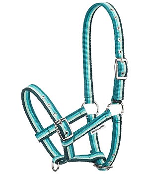 SHOWMASTER Foal Headcollar Darling - 440716