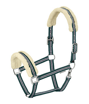 SHOWMASTER Headcollar Shimmering Stripes - 440917