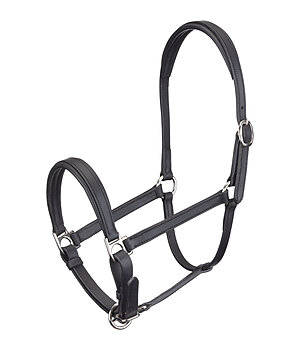Felix Bhler SHOWMASTER Foal and Shetland Pony Headcollar Siri - 440944-SH-SS