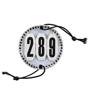 Kramer Bridle Number Crystal - 450468