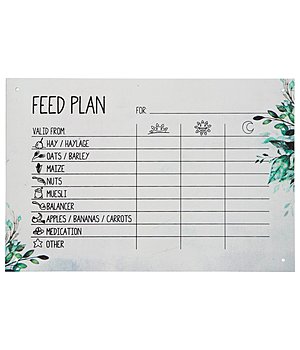 Kramer Feeding Plan Flower - 450655