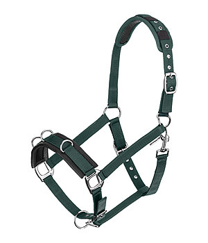 SHOWMASTER Lungeing Headcollar Freedom - 540173-F-TG