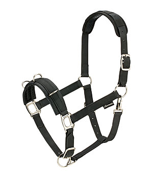 SHOWMASTER Lungeing Headcollar Solid - 550007