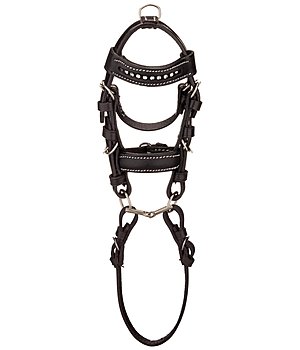 SHOWMASTER Mini Bridle - 621190