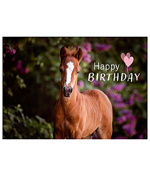 SHOWMASTER Greetings Card Happy Birhday III - 621879