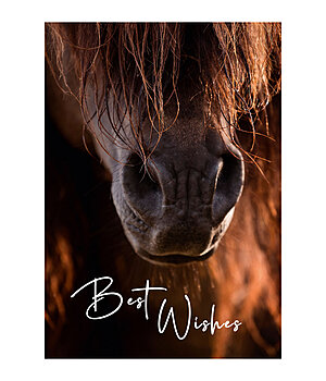 SHOWMASTER Greetings Card Best Wishes - 621880