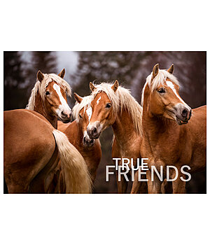 SHOWMASTER Greetings Card True Friends - 621881