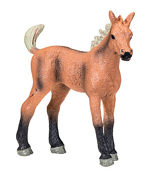 SHOWMASTER Play Series Belgian Warmblood Foal - 622018