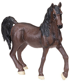 SHOWMASTER Play Series Arabian - 622020