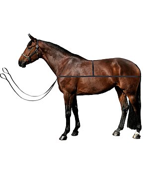 SHOWMASTER Loading Aid Quick - 960075--S