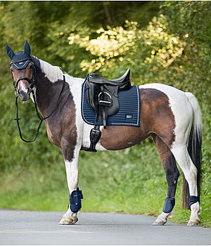 Felix Bhler Outfit Sophistication Regular in Navy - OFS25394