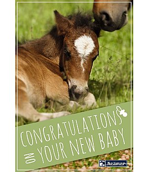 Kramer Printable Gift Voucher - GUTZA2