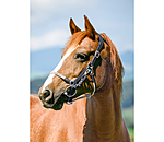 3-in-1 Trekking Bridle Takoda