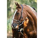 3-in-1 Trekking Bridle Takoda