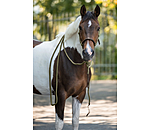 Knot Rope Halter Merano with Mecate