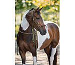 Knot Rope Halter Merano with Mecate