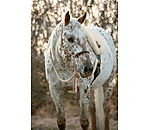 Knot Rope Halter Merano with Mecate