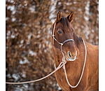Knot Rope Halter Merano with Mecate