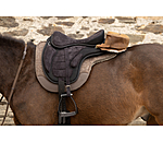 Genuine Leather Cantle Bag Sierra Nevada